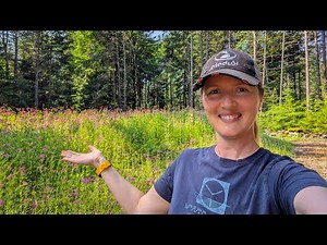 SEEDING our septic leach field || DIY House Build