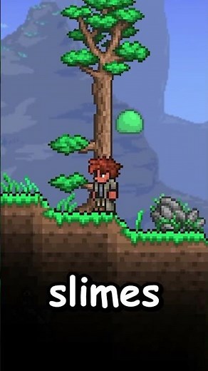 RANDOM TERRARIA KNOWLEDGE YOU SHOULD KNOW!! 😲