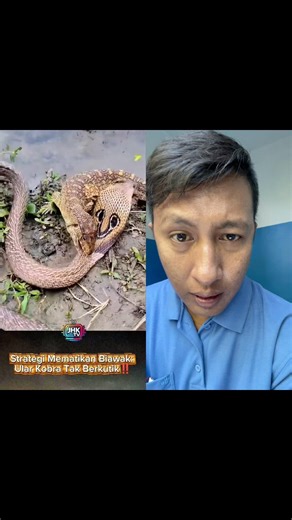 the most brutal battle of king cobra vs monitor lizard #animals #reaction