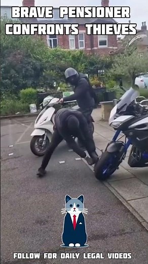Brave old lady fights off armed thieves (England)