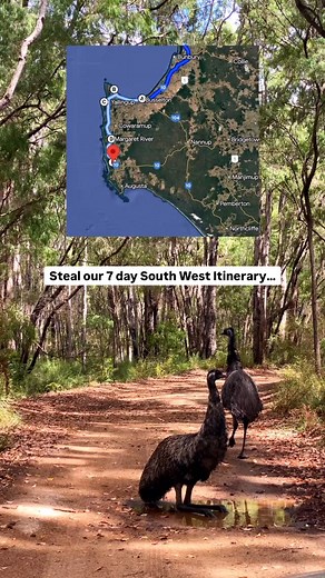 Steal our Southwest Australia road trip itinerary 😜 Follow @ourtravelperspective for more WA travel inspo and free itineraries Send this to someone who is planning a southwest getaway 🗺️ If we had 7 days to explore Australia’s Southwest, here’s exactly how we’d do it, make sure to save it for future planning 📌 📍Busselton - 1 day 📍Dunsborough - 1 day 📍Yallingup - 2 days 📍Margaret River - 3 days Have you done this road trip before? Don’t forget to follow for more WA travel inspo and save th