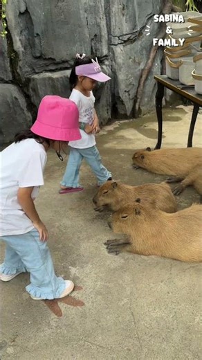 SABINA & SASHA MAU PEGANG CAPHYBARA‼️#trending #trendingshorts #shorts