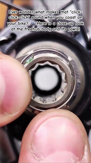 How a Bicycle Freehub Works: Pawls & Springs #BicycleMaintenance #MTB #CyclingLife #shorts