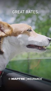 You could get top-quality coverage and save $570* on your car insurance with the #1 auto insurer in Massachusetts. | MAPFRE Insurance