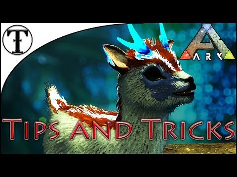 Fast Shinehorn Taming Guide :: Ark : Survival Evolved Tips and Tricks