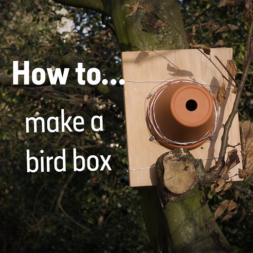 Want to help your local birds? This nest box is easy to make and perfect for small songbirds. 🐦🐣 Get detailed instructions and more tips on how to help birds during breeding season: http://bit.ly/NHM-Nest-Box-Feb20 #NationalNestBoxWeek #WildlifeWednesday | Natural History Museum, London