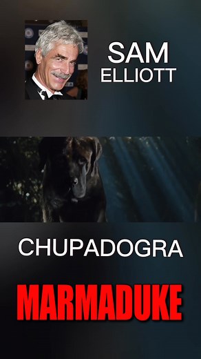 56K views · 2.5K reactions | Voice Actors who are Everywhere- Part 342 #voiceactors | Sallestabata | Facebook