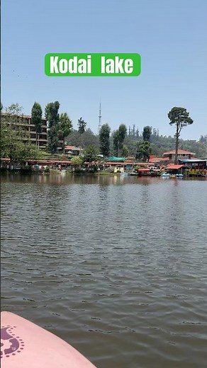 Kodai Star Lake | Beautiful Kodaikanal Lake Views 🌲🚣‍♀️ | Kodai Travel Vlog