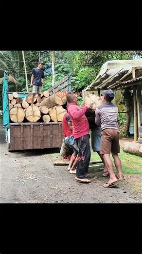 manual loading process for large logs #loadbigwood