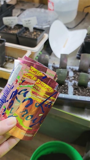 Turn those soda cans into free plant labels!