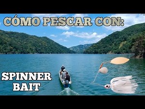 Cómo Pescar con un SPINNER Bait -- Excelentes Técnicas Para Usar!