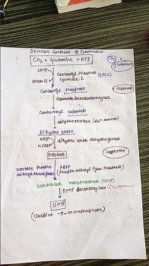 #De novo synthesis of pyrimidine#biochemistry
