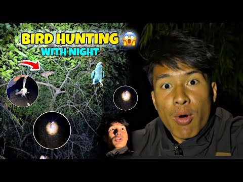Scary Night Bird Hunting 😱 | Jungle Vlog | Real Experience in Nepal ~ Pradip magar