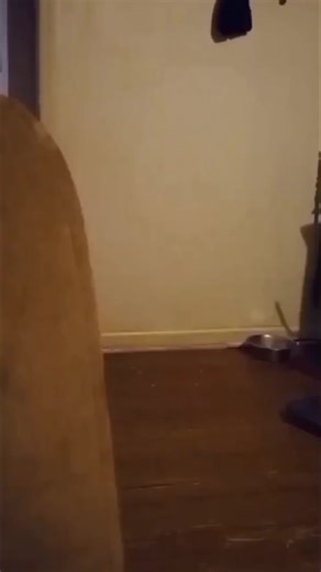 Exploring Paranormal Activity in Salem Virginia