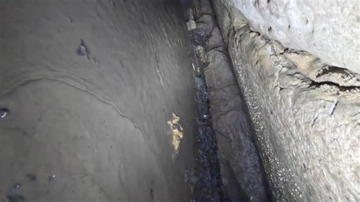 11K views · 271 reactions | We are surveying this cave again today. The long crawl towards the beginning of this video smells awful. When we exited the cave, the debris from the crawl had filled our cave suits and our skin was covered in rotting organic matter. . I know you’re wondering why we would want to do this… We have to know what’s back there. The excitement of exploring where no one else goes is exhilarating. | Adventuring Light | Facebook