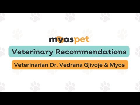 Veterinarian Dr. Vedrana Gjivoje, DVMTalks About Myos Canine Muscle Formula®
