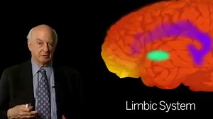 How evil manifests in the brain. If you missed, Forensic Psychiatrist Michael Stone helped understand the neurobiology of evil. | Big Think