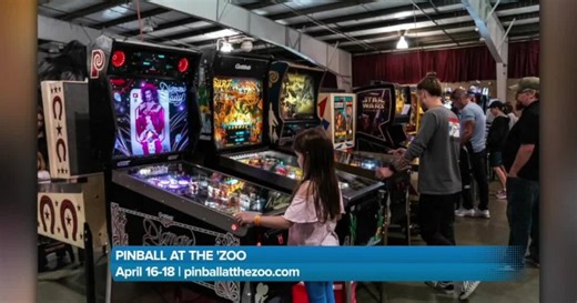 Pinball at the Zoo returns for 26th anniversary