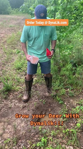 Draw Deer to your property. Dynalik works by absorbing into the soil which means No Leaching,No Oxidation and cannot be flooded out. BUCKS DOES AND FAWNS LOVE DYNALIK #deer #deertiktok #deermulletarmy #whitetail #deerhunting #deerhunt #deerhuntercheck #deernutrition #deerhuntingwisconsin #deerhunteroftiktok #whitetaildeer #whitetailhunter #whitetailbuck #antlershed #antlershed #bowhunting #bowhunter #whitetailadrenaline #whitetail #bowhunt #whitetailohio #whitetailrut #deercamp #hunt #hunterxhun