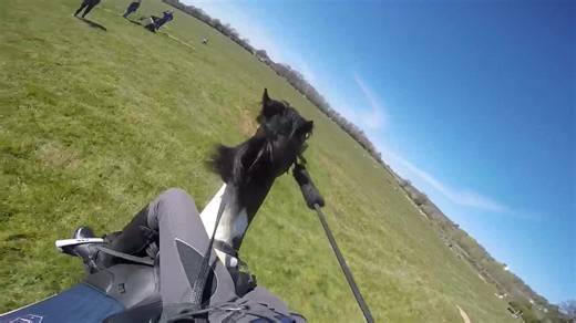 Close call😂 #fyp#horsesontiktok#horsefails#horsefail#equestrianfails#equestrianfail#britisheventing#crosscountryhorse#fail#fails#equine#horseriding