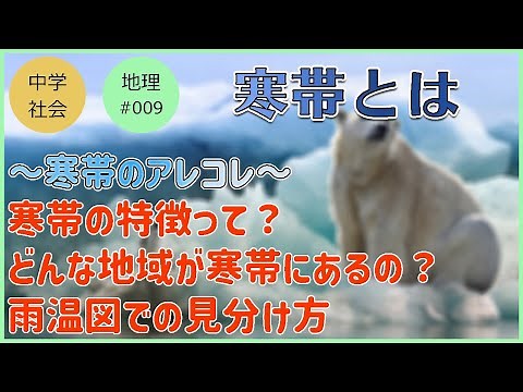 [Junior High School Social Studies: Geography] Characteristics of the Polar Region [#009 What is ...