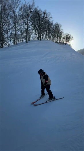 Learn how to Ski in 10 hours