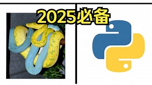Python必会的「5款利器」2025必备_哔哩哔哩_bilibili