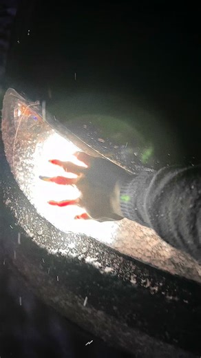 𝟒𝟎𝐉𝟗𝟕𝟓𝐆𝐁 on Instagram: "🌨️ - @gulomoff.975 - #instagram #uzbekistan #new #legend #instalike #speed #post #night #good #vibe #cars #car #uzb #me #nexia #nexia2 #lob #night #day #video #узб #fergana #fargona #фергана #инстаграм #топ #актив #интересного #rek #reels #🇺🇿"