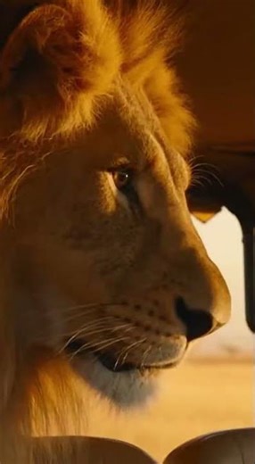 “Face-to-Face With a Lion: The Wildest Moment of Their Lives”