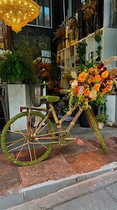 13K views · 824 reactions | 5 Ways to Style the Zara Asymmetric Black Lace Dress | Fall to Year-Round Outfit Ideas Outfit Link  https://liketk.it/5qw13 | Frilancy Hoyle | Facebook