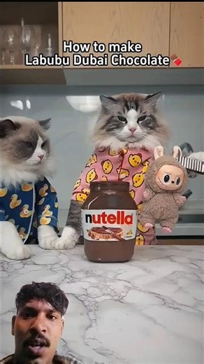 The Most Expensive Chocolate Hack? (Labubu Style) 😲🐾