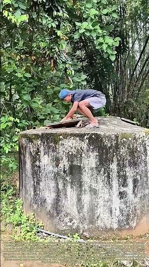 The Aerial Snare: How an Extended Net Captures a Perched Bird