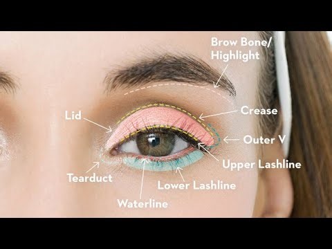 how to apply eyeshadow makeup for beginners