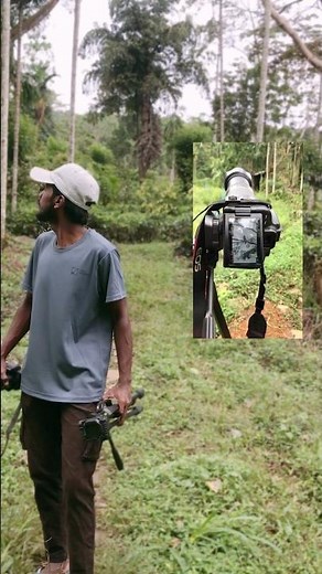 wildlife photography with canon800d 75-300 #shortvideo#wildlifephotography#bestcamera#nature#canon