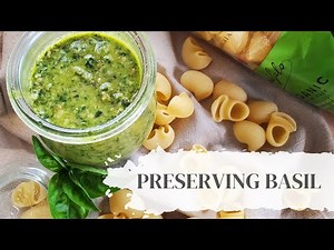 From Garden to Jar: How to Preserve Basil Pesto Like a Pro