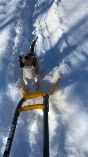 Snow day FUN day 🔥🥰 | Fiddlehead Inc.