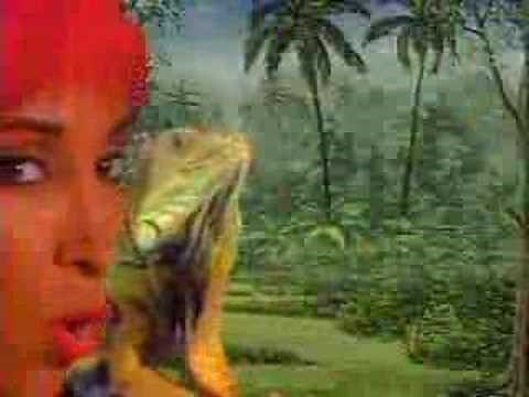 George Clinton & The Goombas- Walk The Dinosaur