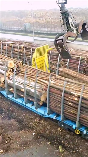 Mobile Log Loader #machine