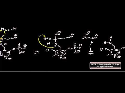 Biochemistry | Transaminase Mechanism (Pyruvate Conversion to L-Alanine)