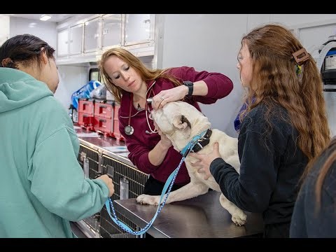 WAAL's ALPHA Program for Low Income Pet Health Assistance