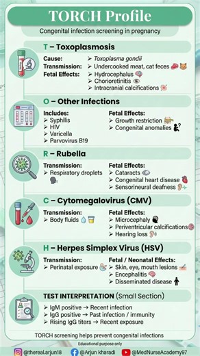 TORCH Profile Explained | TORCH Infections in Pregnancy & Newborn | Obstetrics & Pediatrics