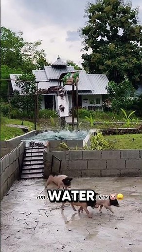 Peppa Pig Visits EPIC USA Water Park! (VIRAL)