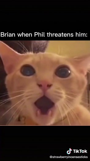 I'm too bored so I made this. #slay This counts as revision in my books. #cathydna #DNA #englishlit #englishliterature #englishgcse #meme #ukschools #LeahDNA #Denniskelly #denniskellydna #gcse #classof2023 #queer #lgbtq #fyp