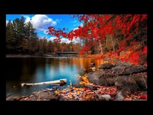 BLUE SPRING RICHARD ABEL piano