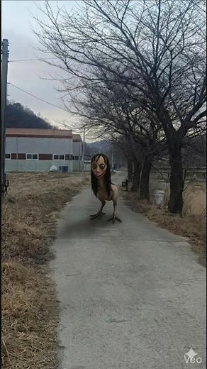 26년 2월 5일 경기도 파주 모모귀신 발견 너무 가까이 다가와서 개 놀람 :) (ai)