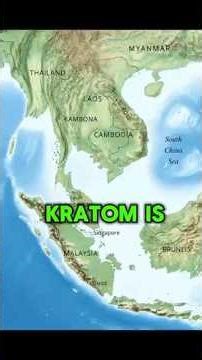 Kratom | Native Regions and Natural Growth
