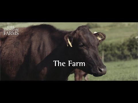 Our passion for UK Full blood Wagyu at Earl Stonham Farms