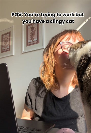 Day in the life of a brand designer / cat mam 🥲 #branddesigner #catmam #cat #fyp #cats