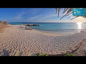 ☀️ Live Caribbean beach cams🎵 Relaxing Lounge Music 24/7