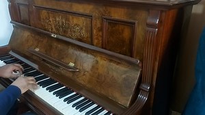 2.4K views · 58 reactions | German antique professional piano Very Elegant Good-looking Shape 120 years old Ivory keyboard Only 37500 01151683350 | Antique Pianos | Facebook